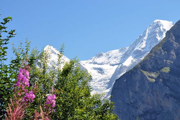 Berner Oberland