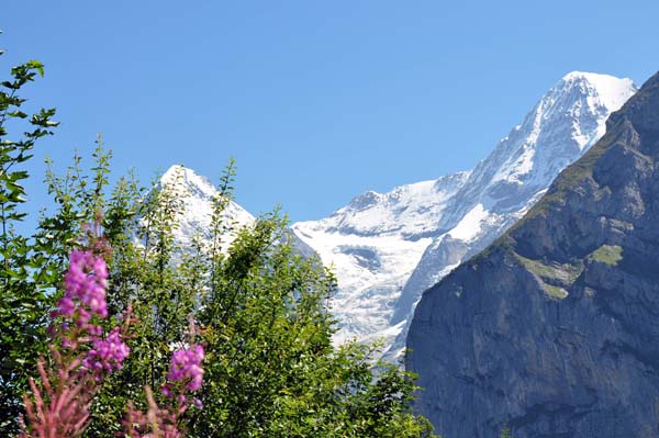 Berner Oberland