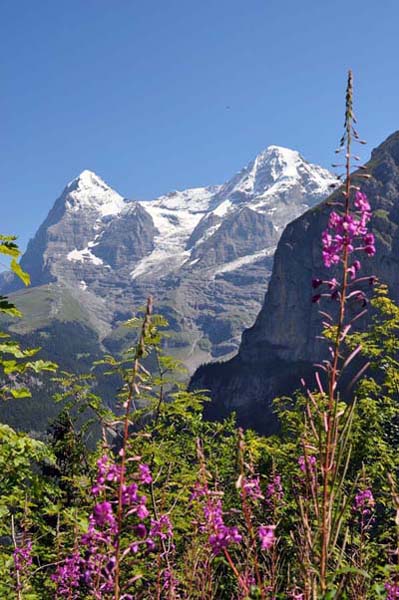 Berner Oberland