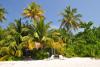 Safari Island