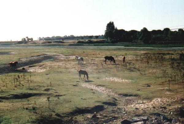 Andalusien 1998