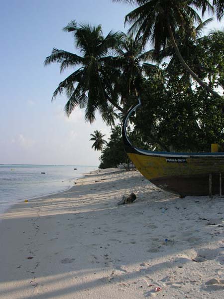 Inselaufnahmen Dhangethi