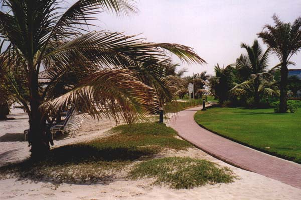 Urlaubsbilder Dubai 2001