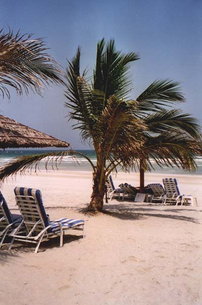 Urlaubsbilder Dubai 2001