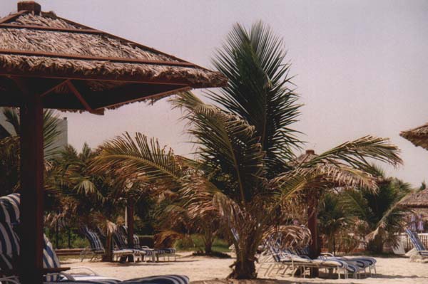Urlaubsbilder Dubai 2001