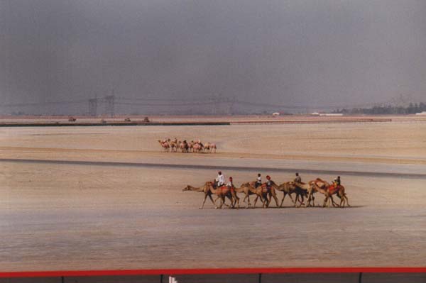 Urlaubsbilder Dubai 2001