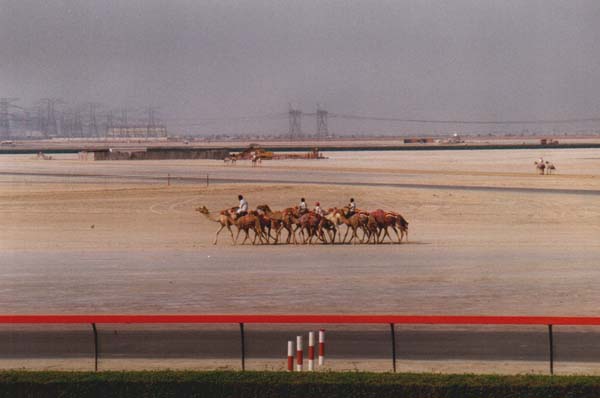 Urlaubsbilder Dubai 2001