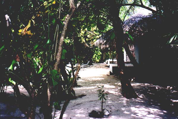 Inselaufnahmen Ellaidhoo