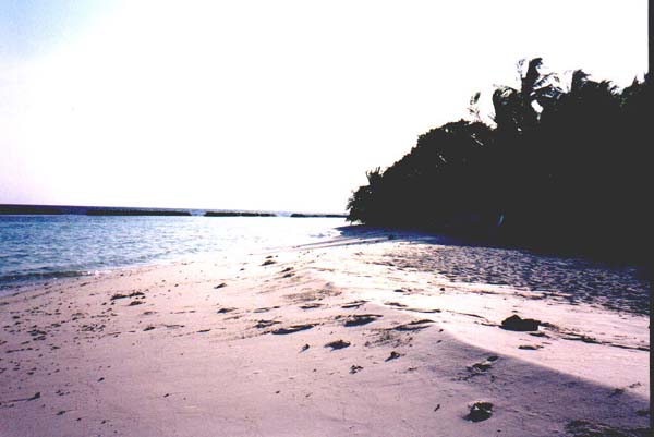 Inselaufnahmen Ellaidhoo