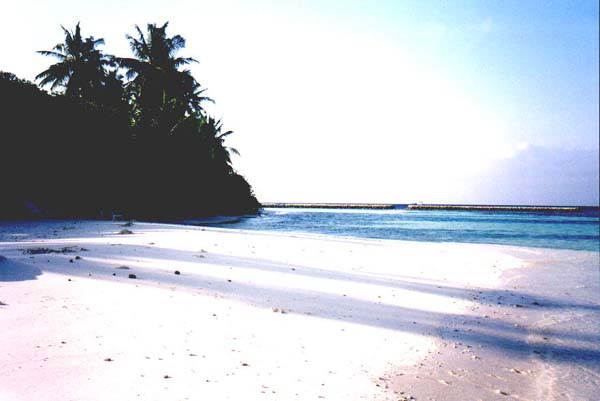 Inselaufnahmen Ellaidhoo