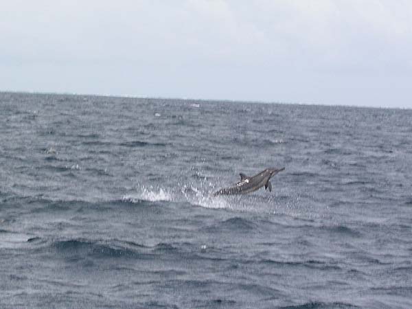 Inselaufnahmen Fihalhohi