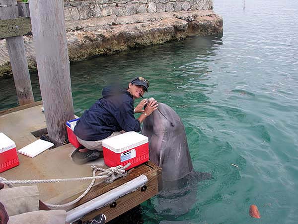 Urlaubsbilder Grand Bahama