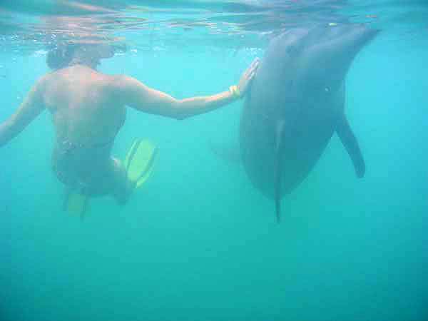 Urlaubsbilder Grand Bahama