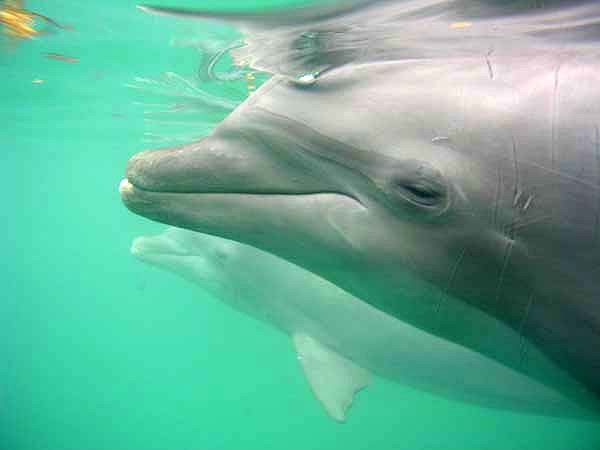 Urlaubsbilder Grand Bahama