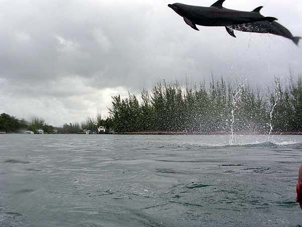 Urlaubsbilder Grand Bahama