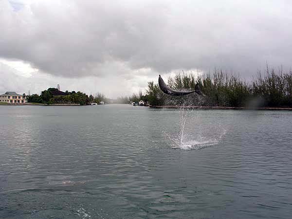 Urlaubsbilder Grand Bahama