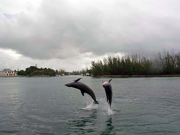 Urlaubsbilder Grand Bahama
