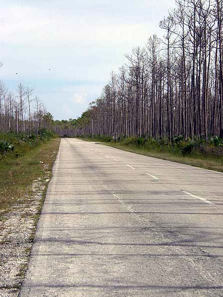 Urlaubsbilder Grand Bahama
