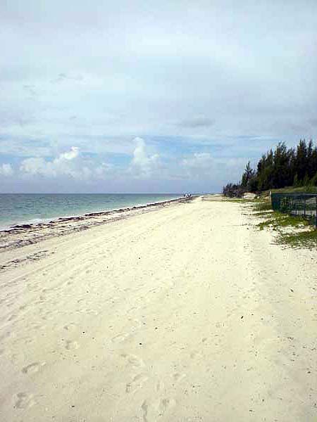 Urlaubsbilder Grand Bahama