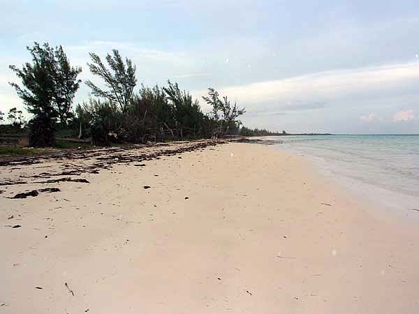 Urlaubsbilder Grand Bahama