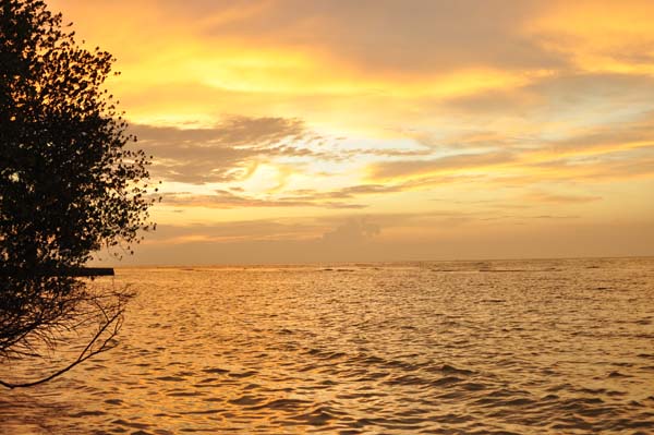 Inselaufnahmen Helengeli 2010