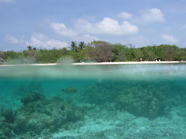 Inselaufnahmen Helengeli 2003