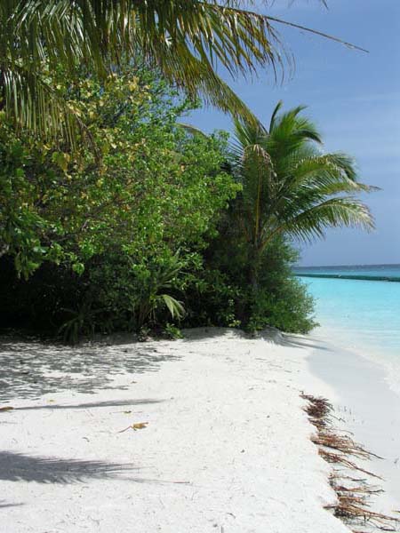 Inselaufnahmen Lily Beach