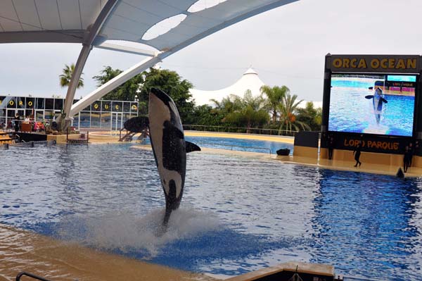 Teneriffa - Loro Park