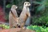 Loro Park