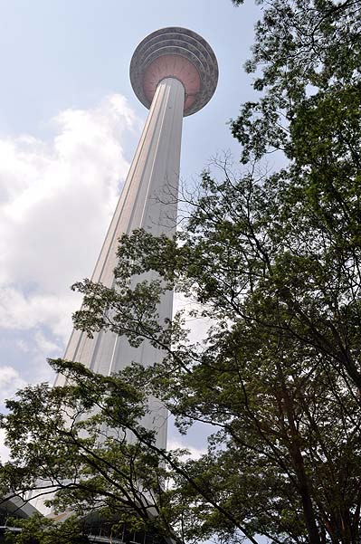 KL, Fernsehturm und Mini-Zoo