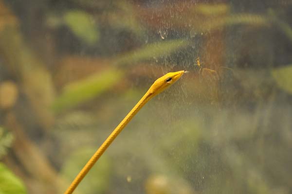 KL, Fernsehturm und Mini-Zoo
