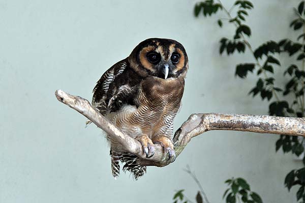 KL, Vogelpark