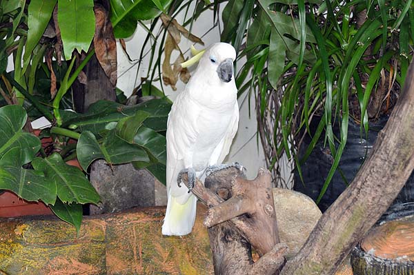 KL, Vogelpark