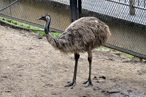 KL, Vogelpark