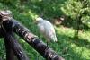 Vogelpark