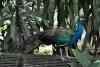 Vogelpark