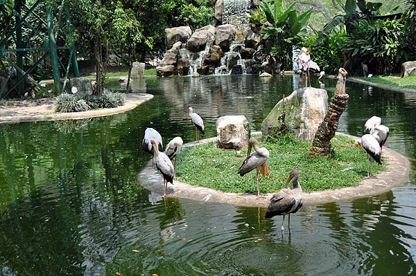 KL, Vogelpark