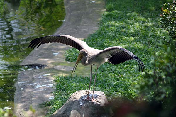 KL, Vogelpark