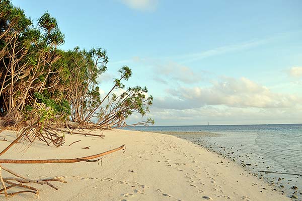 Lankayan Island Resort