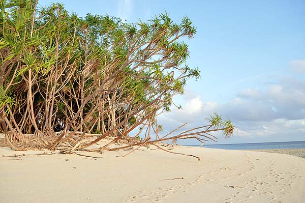 Lankayan Island Resort