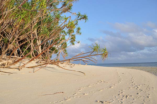 Lankayan Island Resort