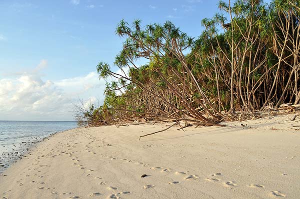 Lankayan Island Resort