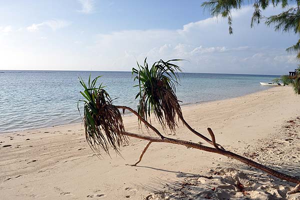 Lankayan Island Resort