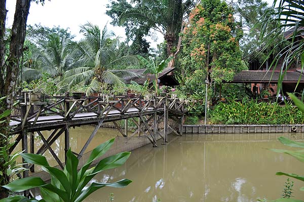 Sepilok Nature Resort