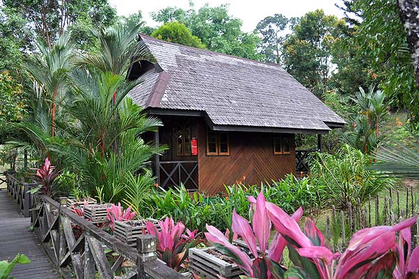 Sepilok Nature Resort