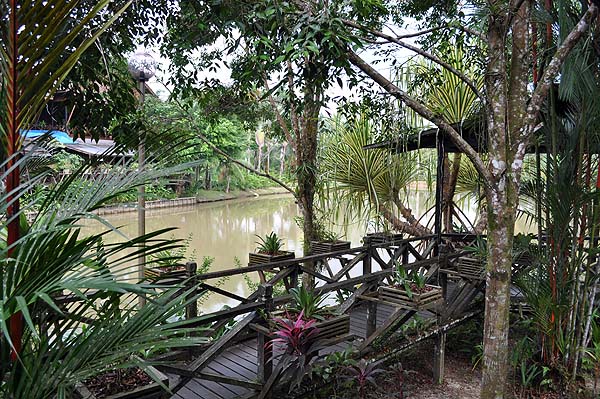 Sepilok Nature Resort