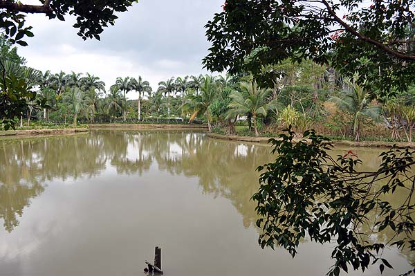 Sepilok Nature Resort