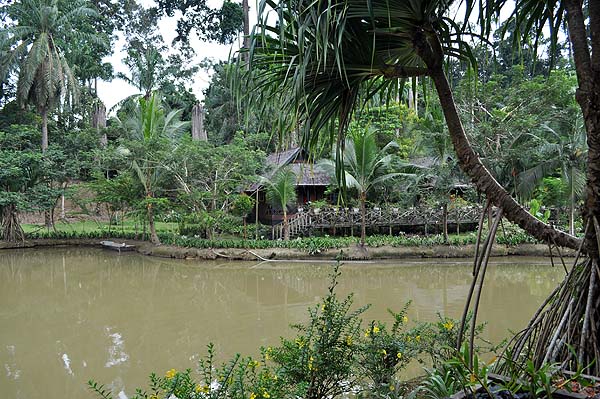 Sepilok Nature Resort
