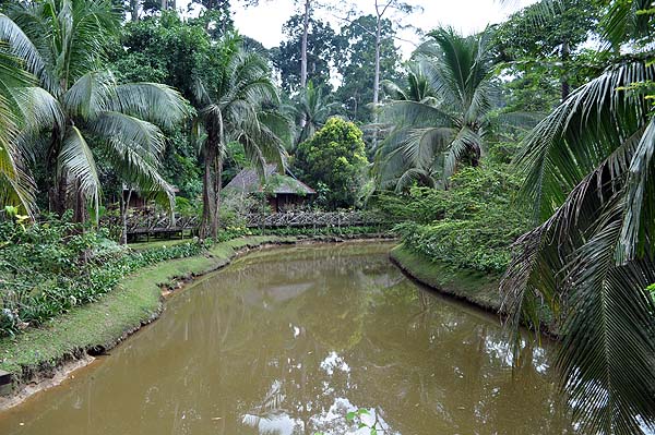 Sepilok Nature Resort