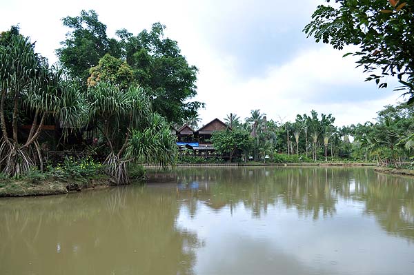 Sepilok Nature Resort